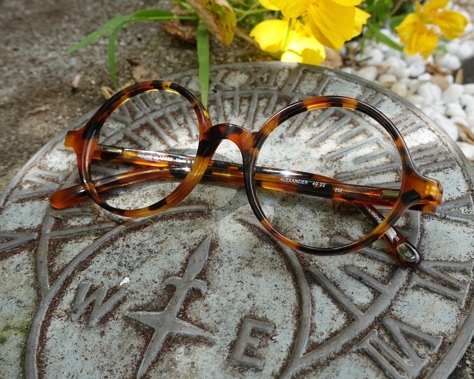Alexander Classic Tortoise 49mm Large Iconic Round Eyeglasses 2